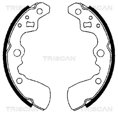 TRISCAN Комплект тормозных колодок 8100 69550