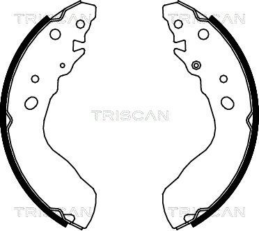 TRISCAN Комплект тормозных колодок 8100 69584