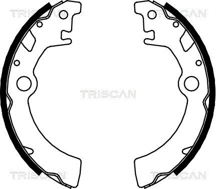 TRISCAN Комплект тормозных колодок 8100 69600