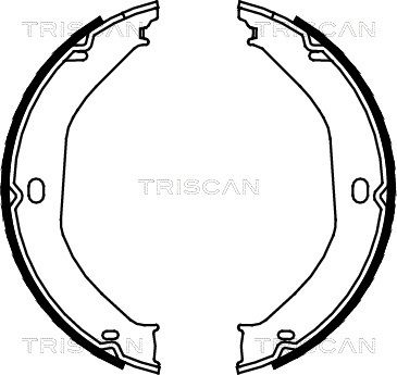 TRISCAN Комплект тормозных колодок, стояночная тормозная с 8100 80008