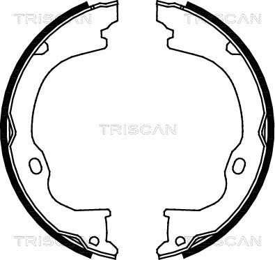 TRISCAN Комплект тормозных колодок, стояночная тормозная с 8100 80011