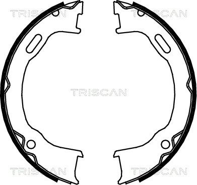 TRISCAN Комплект тормозных колодок, стояночная тормозная с 8100 80012
