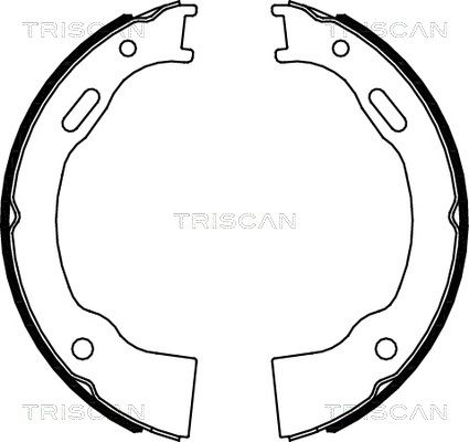 TRISCAN Комплект тормозных колодок, стояночная тормозная с 8100 80014