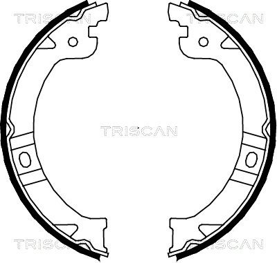 TRISCAN Комплект тормозных колодок, стояночная тормозная с 8100 80015