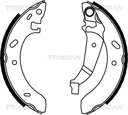 TRISCAN Комплект тормозных колодок 8100 80016