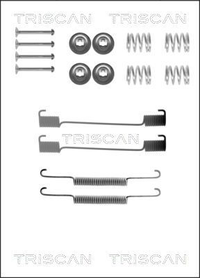 TRISCAN Комплектующие, тормозная колодка 8105 172465