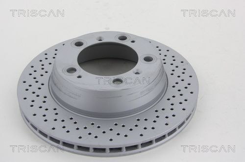 TRISCAN Тормозной диск 8120 101059C