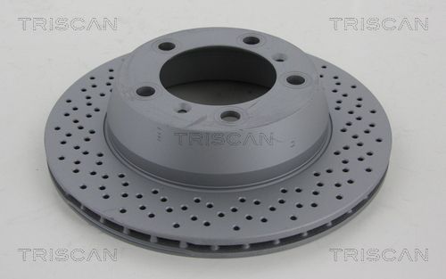 TRISCAN Bremžu diski 8120 101061C