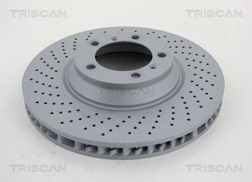 TRISCAN Bremžu diski 8120 101079C