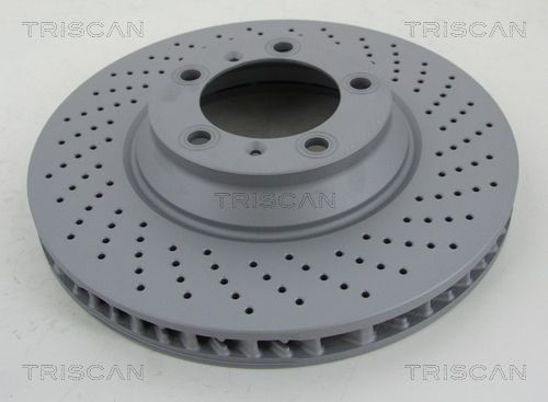TRISCAN Bremžu diski 8120 101080C