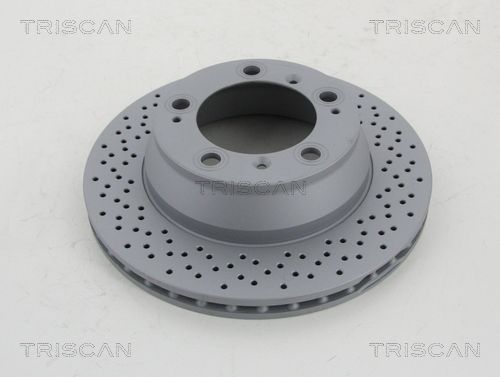 TRISCAN Bremžu diski 8120 101081C