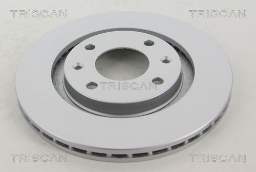 TRISCAN Bremžu diski 8120 10113C