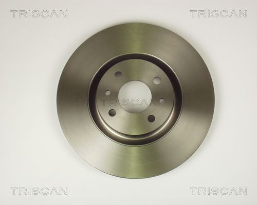 TRISCAN Bremžu diski 8120 10131