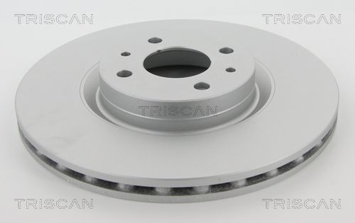 TRISCAN Bremžu diski 8120 10131C