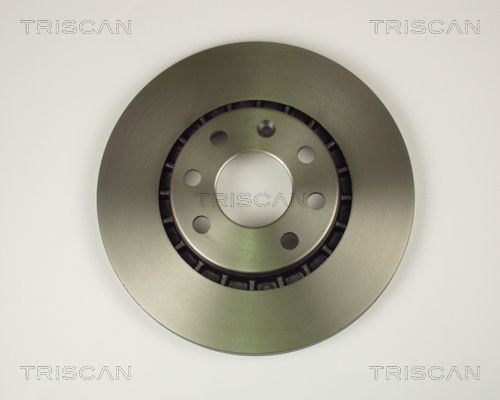 TRISCAN Bremžu diski 8120 24113