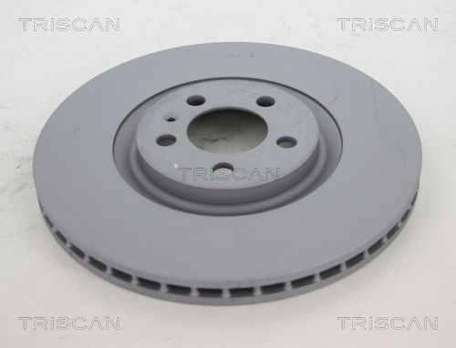 TRISCAN Bremžu diski 8120 291065C
