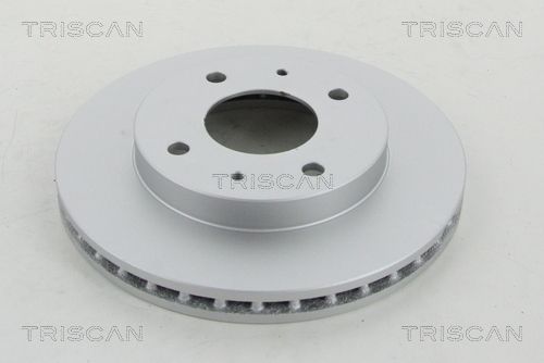 TRISCAN Bremžu diski 8120 42110C