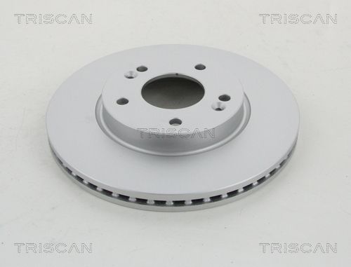 TRISCAN Bremžu diski 8120 43173C