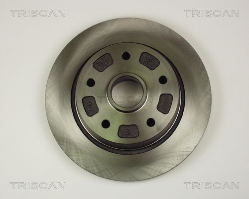 TRISCAN Bremžu diski 8120 50131