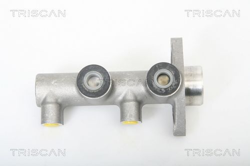 TRISCAN Galvenais bremžu cilindrs 8130 21100