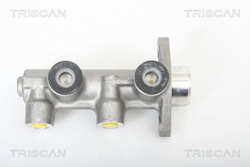 TRISCAN Galvenais bremžu cilindrs 8130 21102