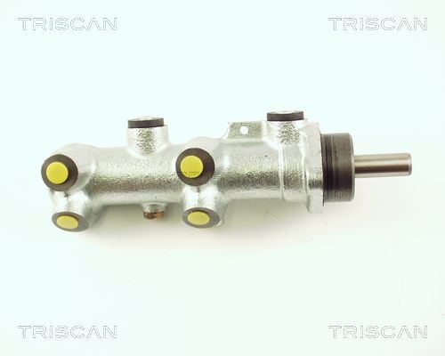 TRISCAN Galvenais bremžu cilindrs 8130 25119