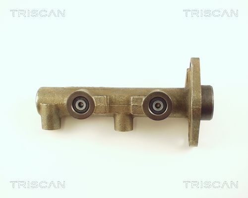 TRISCAN Galvenais bremžu cilindrs 8130 65101