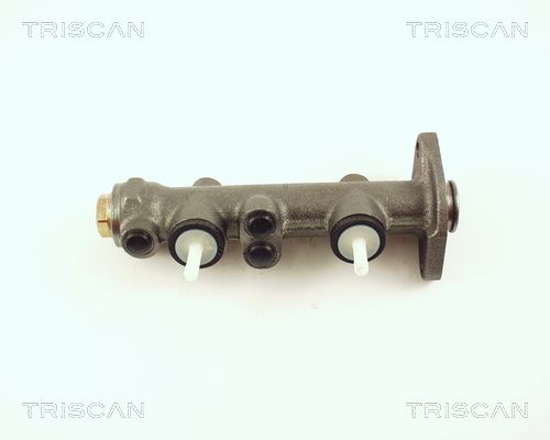 TRISCAN Galvenais bremžu cilindrs 8130 70100