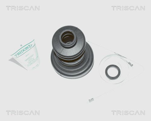 TRISCAN Putekļusargu komplekts, Piedziņas vārpsta 8540 10801