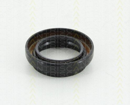 TRISCAN Уплотняющее кольцо, дифференциал 8550 10038