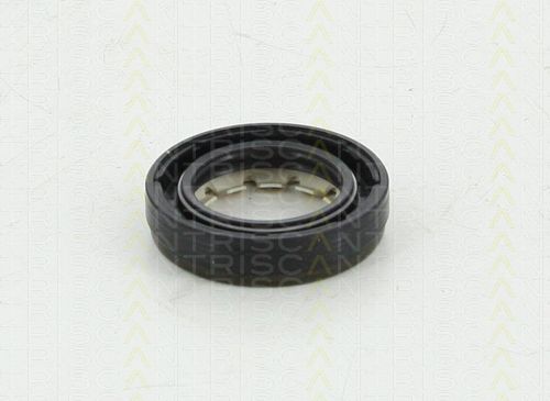 TRISCAN Уплотняющее кольцо, дифференциал 8550 10043