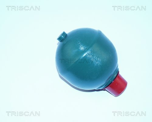 TRISCAN Гидроаккумулятор, подвеска / амортизация 8760 38222
