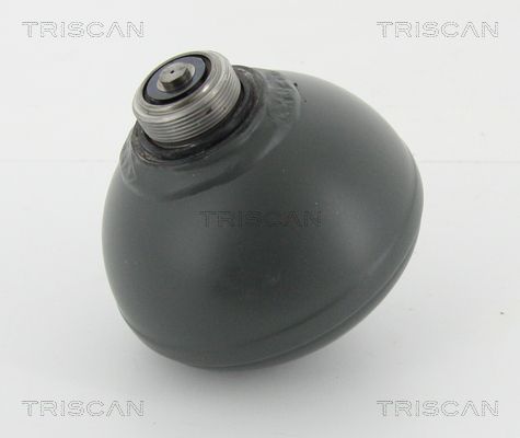 TRISCAN Гидроаккумулятор, подвеска / амортизация 8760 38228