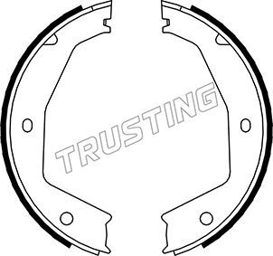 TRUSTING Комплект тормозных колодок, стояночная тормозная с 048.002