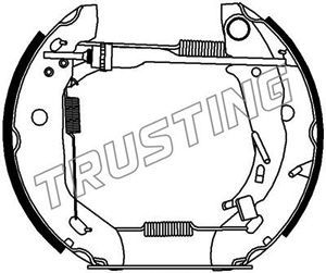 TRUSTING Комплект тормозных колодок 6209