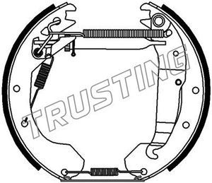 TRUSTING Комплект тормозных колодок 6242