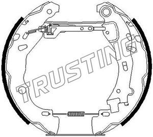 TRUSTING Комплект тормозных колодок 6258