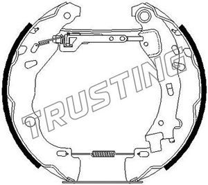 TRUSTING Комплект тормозных колодок 6259