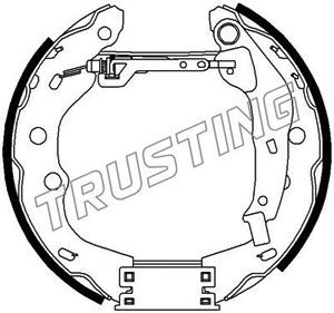 TRUSTING Комплект тормозных колодок 6317