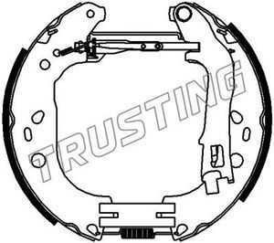 TRUSTING Комплект тормозных колодок 6447