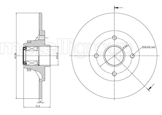 TRUSTING Bremžu diski DF830A