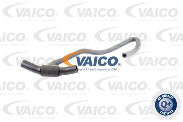 VAICO Radiatora cauruļvads V10-0025