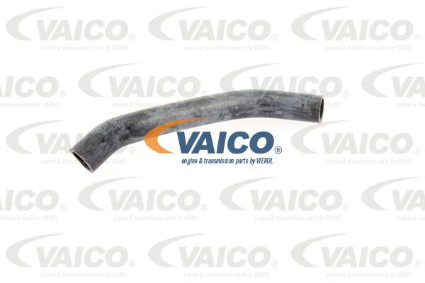 VAICO Radiatora cauruļvads V10-0050