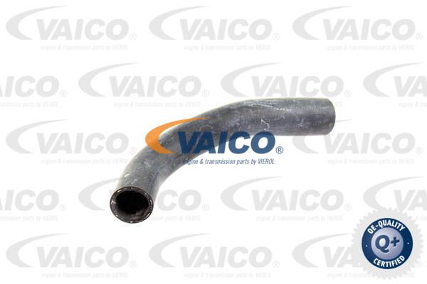 VAICO Radiatora cauruļvads V10-0054