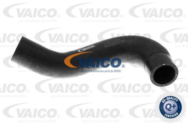 VAICO Radiatora cauruļvads V10-0055