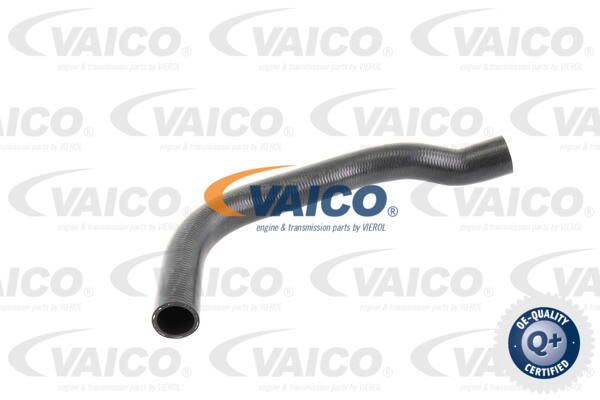 VAICO Radiatora cauruļvads V10-0056