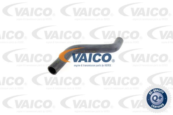 VAICO Radiatora cauruļvads V10-0060