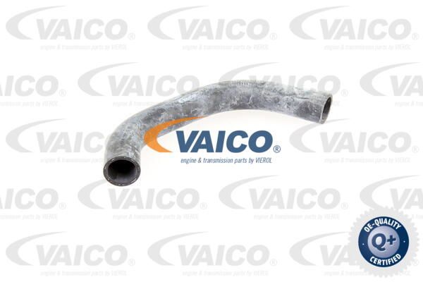 VAICO Radiatora cauruļvads V10-0065