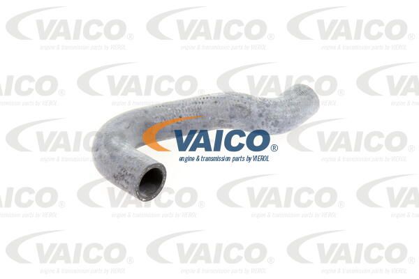 VAICO Radiatora cauruļvads V10-0066