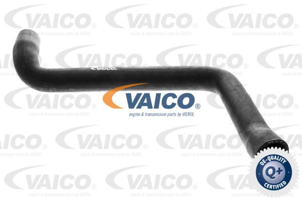 VAICO Radiatora cauruļvads V10-0073